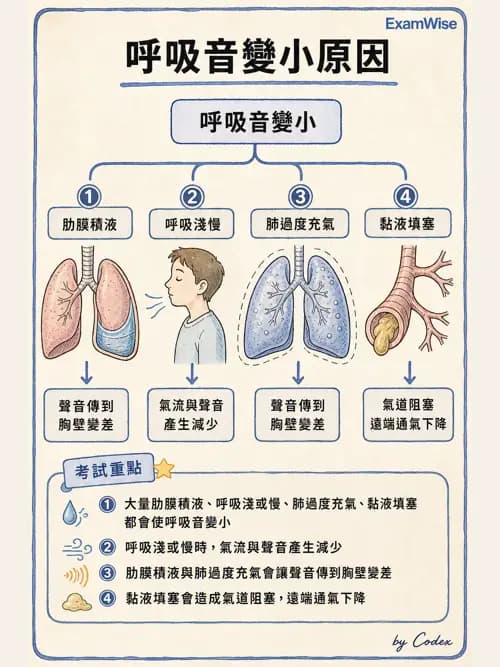 呼吸治療師 - 病人評估與衛教 - AI 圖文解析預覽