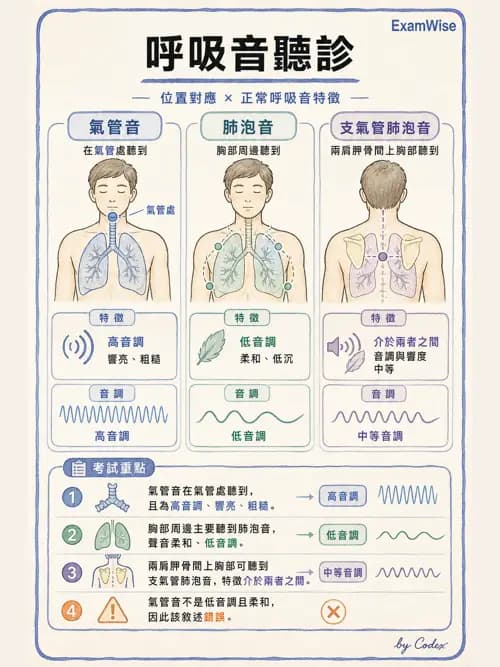 呼吸治療師 - 病人評估與衛教 - AI 圖文解析預覽