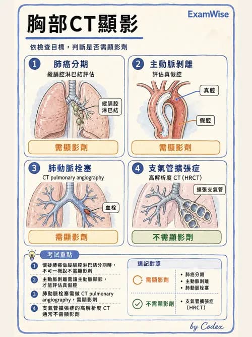 呼吸治療師 - 病人評估與衛教 - AI 圖文解析預覽