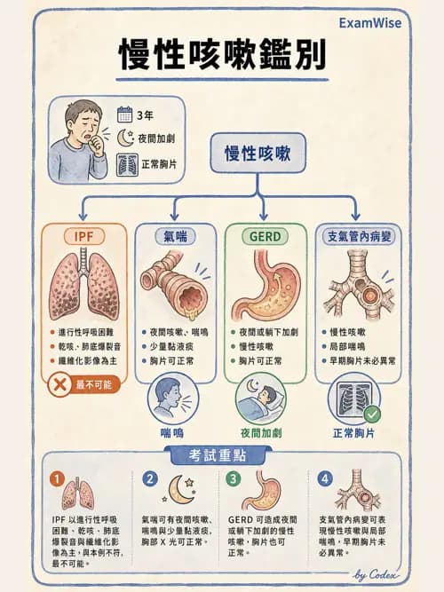 呼吸治療師 - 病人評估與衛教 - AI 圖文解析預覽