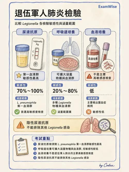 呼吸治療師 - 感染性肺疾 - AI 圖文解析預覽