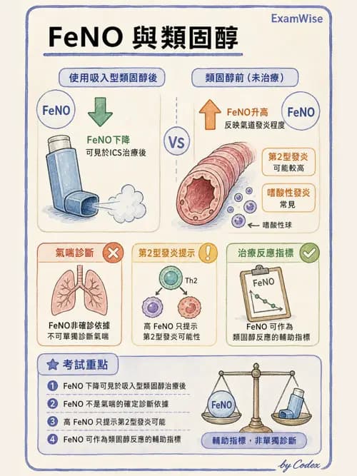呼吸治療師 - 慢性氣道疾病 - AI 圖文解析預覽