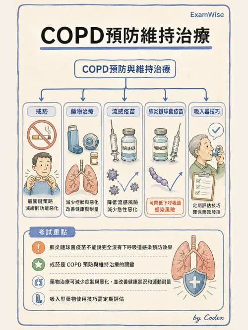 呼吸治療師 - 慢性氣道疾病 - AI 圖文解析預覽