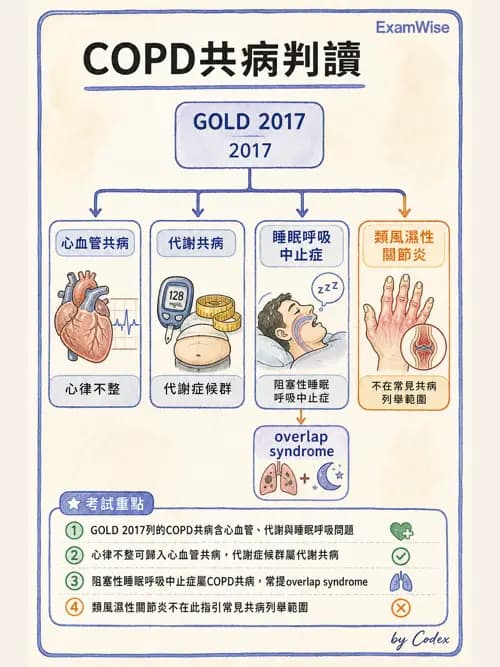 呼吸治療師 - 慢性氣道疾病 - AI 圖文解析預覽