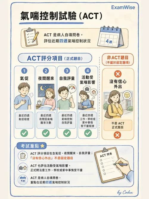 呼吸治療師 - 慢性氣道疾病 - AI 圖文解析預覽