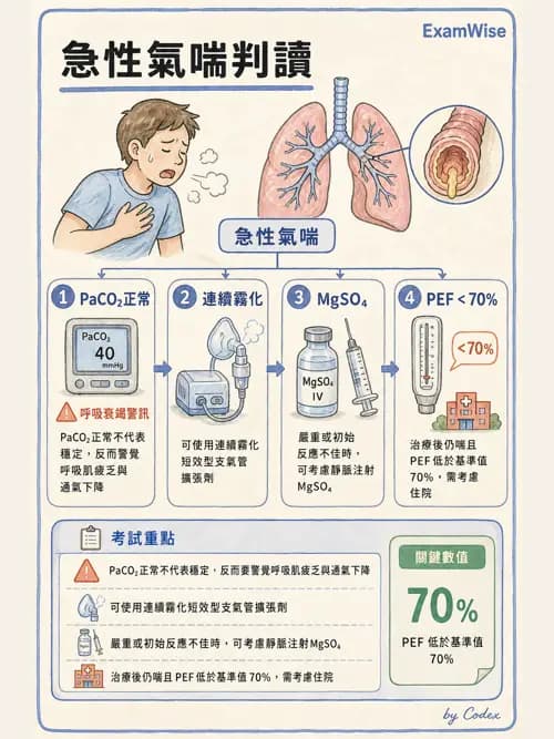 呼吸治療師 - 慢性氣道疾病 - AI 圖文解析預覽