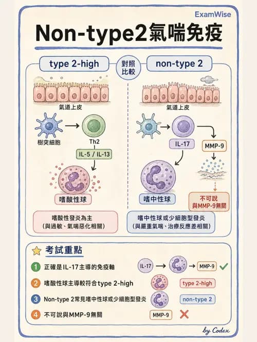 呼吸治療師 - 慢性氣道疾病 - AI 圖文解析預覽