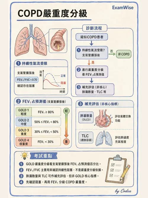呼吸治療師 - 慢性氣道疾病 - AI 圖文解析預覽