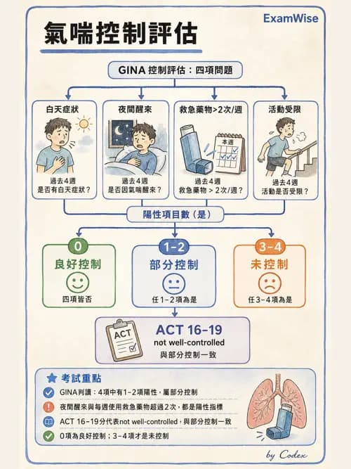 呼吸治療師 - 慢性氣道疾病 - AI 圖文解析預覽