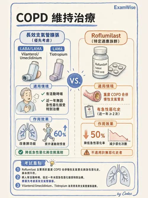 呼吸治療師 - 慢性氣道疾病 - AI 圖文解析預覽