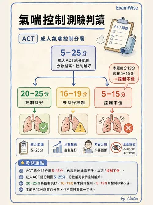 呼吸治療師 - 慢性氣道疾病 - AI 圖文解析預覽