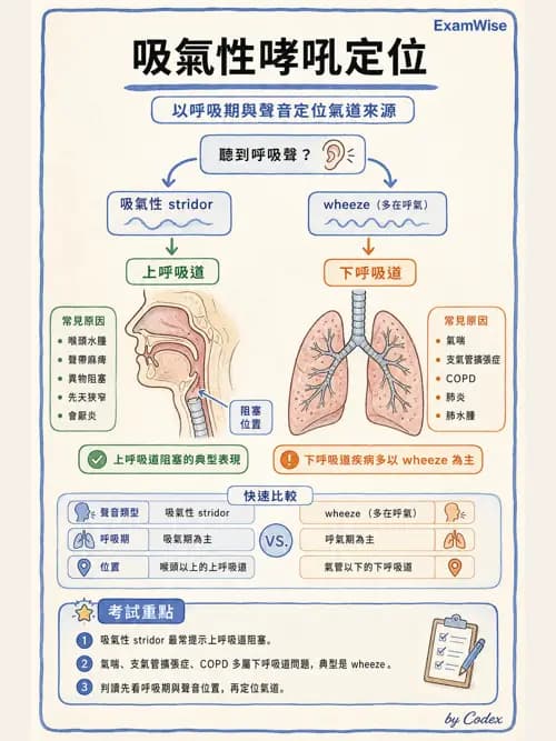 呼吸治療師 - 病人評估與衛教 - AI 圖文解析預覽