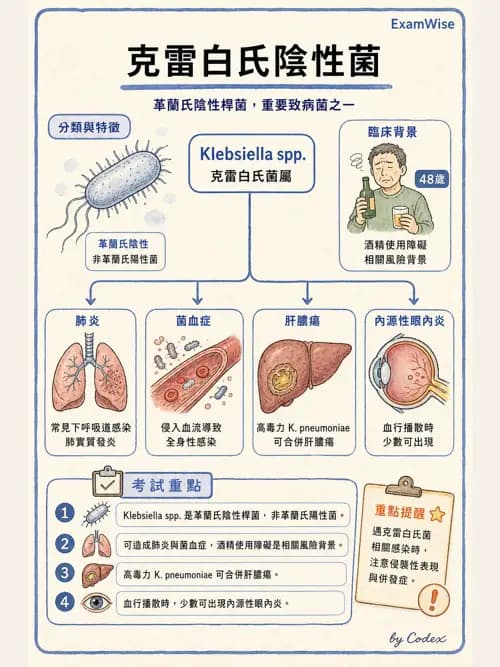 呼吸治療師 - 感染性肺疾 - AI 圖文解析預覽