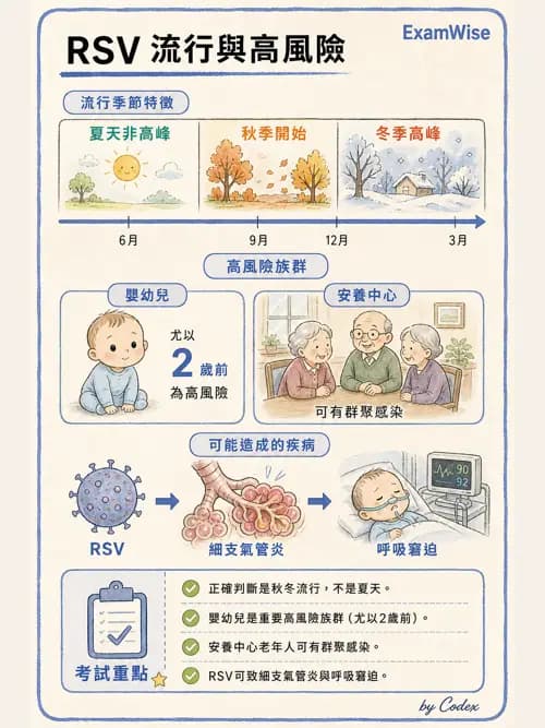 呼吸治療師 - 感染性肺疾 - AI 圖文解析預覽