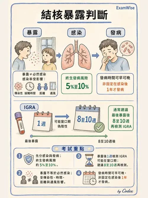 呼吸治療師 - 感染性肺疾 - AI 圖文解析預覽