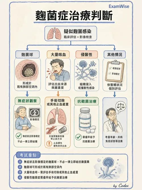 呼吸治療師 - 感染性肺疾 - AI 圖文解析預覽