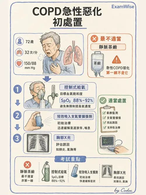 呼吸治療師 - 慢性氣道疾病 - AI 圖文解析預覽