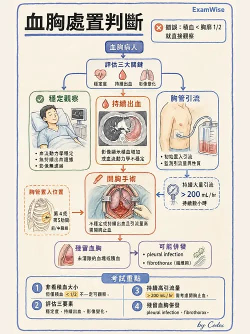 呼吸治療師 - 外力傷害與胸廓病變 - AI 圖文解析預覽