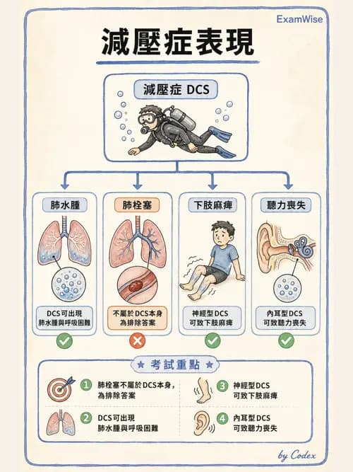 呼吸治療師 - 外力傷害與胸廓病變 - AI 圖文解析預覽