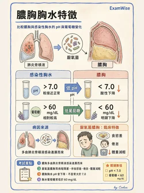 呼吸治療師 - 外力傷害與胸廓病變 - AI 圖文解析預覽