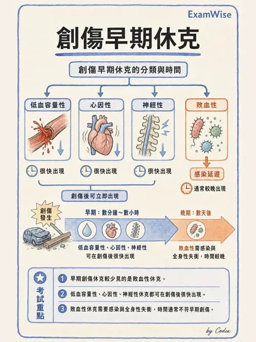 呼吸治療師 - 外力傷害與胸廓病變 - AI 圖文解析預覽
