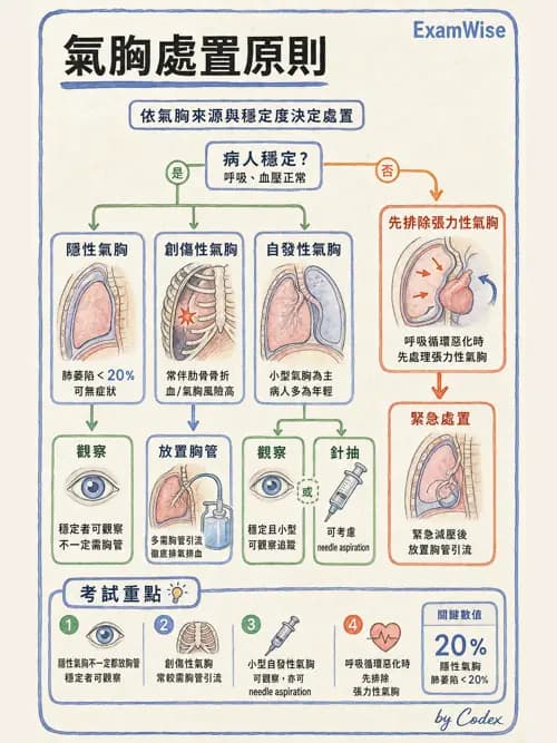呼吸治療師 - 外力傷害與胸廓病變 - AI 圖文解析預覽