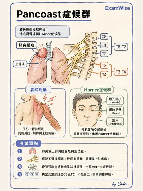 呼吸治療師 - 神經肌肉病變與腫瘤 - AI 圖文解析預覽