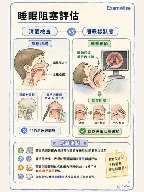 呼吸治療師 - 睡眠相關呼吸障礙 - AI 圖文解析預覽
