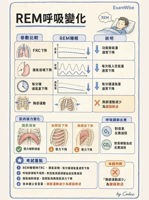 呼吸治療師 - 睡眠相關呼吸障礙 - AI 圖文解析預覽