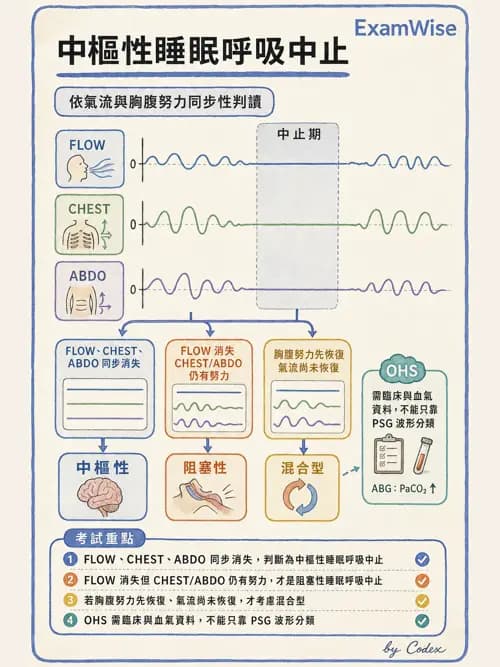 呼吸治療師 - 睡眠相關呼吸障礙 - AI 圖文解析預覽