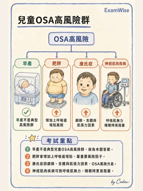 呼吸治療師 - 兒童呼吸系統疾病 - AI 圖文解析預覽