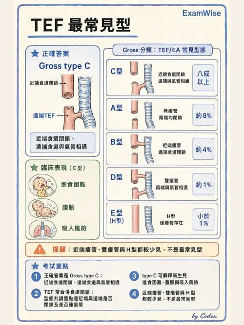 呼吸治療師 - 兒童呼吸系統疾病 - AI 圖文解析預覽
