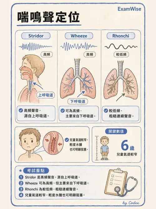 呼吸治療師 - 兒童呼吸系統疾病 - AI 圖文解析預覽