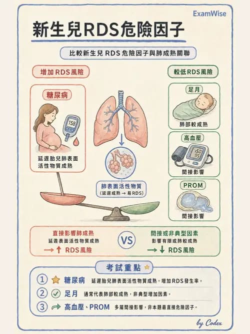 呼吸治療師 - 兒童呼吸系統疾病 - AI 圖文解析預覽