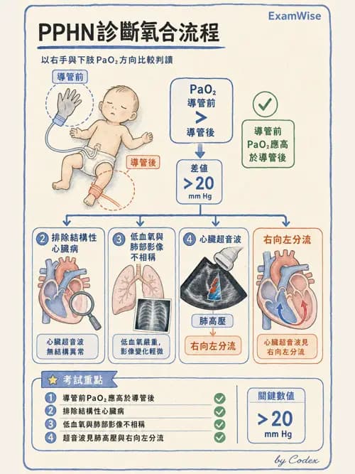 呼吸治療師 - 兒童呼吸系統疾病 - AI 圖文解析預覽