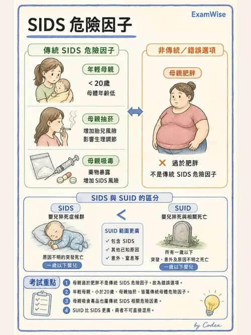 呼吸治療師 - 兒童呼吸系統疾病 - AI 圖文解析預覽