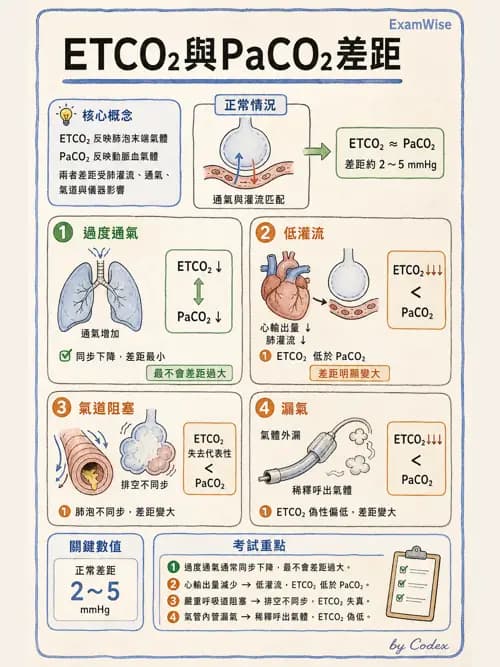 呼吸治療師 - 病人評估與衛教 - AI 圖文解析預覽