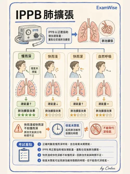 呼吸治療師 - 病人評估與衛教 - AI 圖文解析預覽