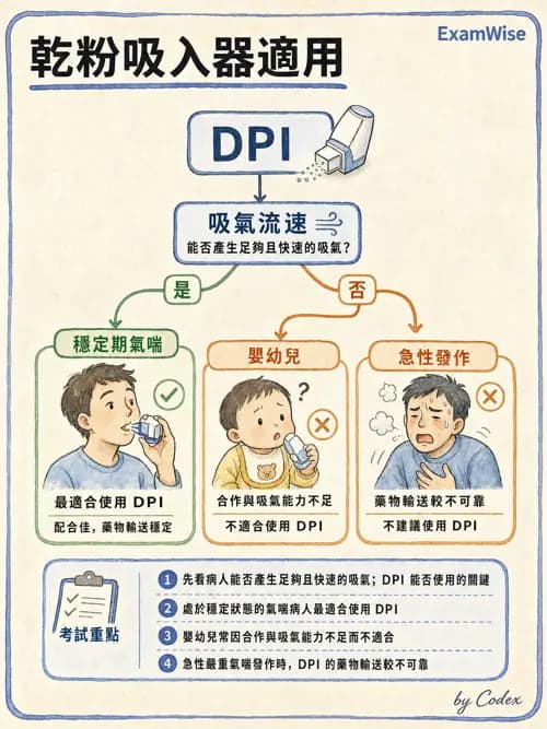呼吸治療師 - 病人評估與衛教 - AI 圖文解析預覽