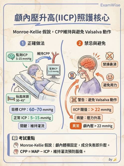 護理師 - 顱內壓升高與頭部外傷 - AI 圖文解析預覽