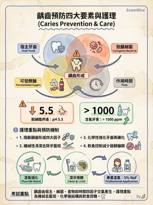 護理師 - 上消化道疾病 - AI 圖文解析預覽