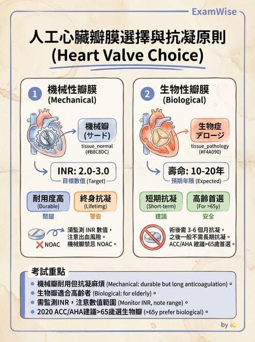護理師 - 心臟瓣膜病與發炎性心臟病 - AI 圖文解析預覽