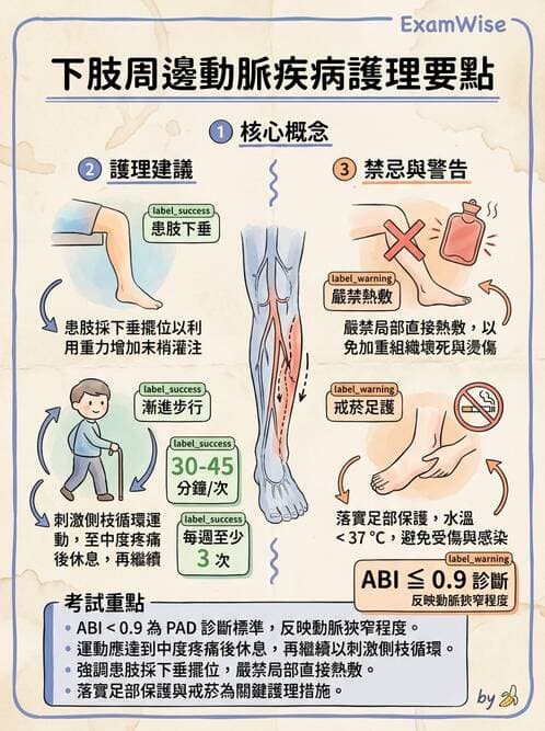 護理師 - 高血壓與周邊血管疾病 - AI 圖文解析預覽
