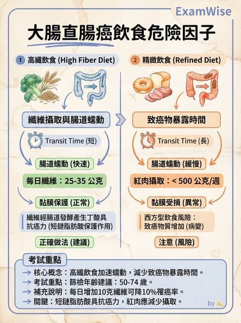 護理師 - 消化系統癌症護理 - AI 圖文解析預覽