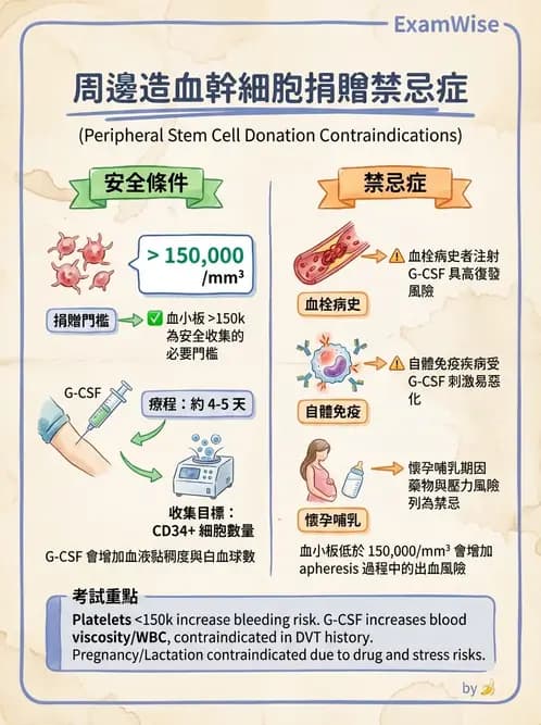 護理師 - 血液腫瘤疾病 - AI 圖文解析預覽