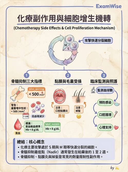 護理師 - 化療護理 - AI 圖文解析預覽