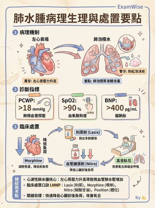 護理師 - 心臟衰竭與心律不整 - AI 圖文解析預覽
