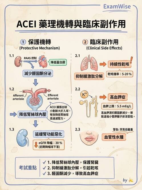 護理師 - 腎炎、腎衰竭與慢性腎臟病 - AI 圖文解析預覽