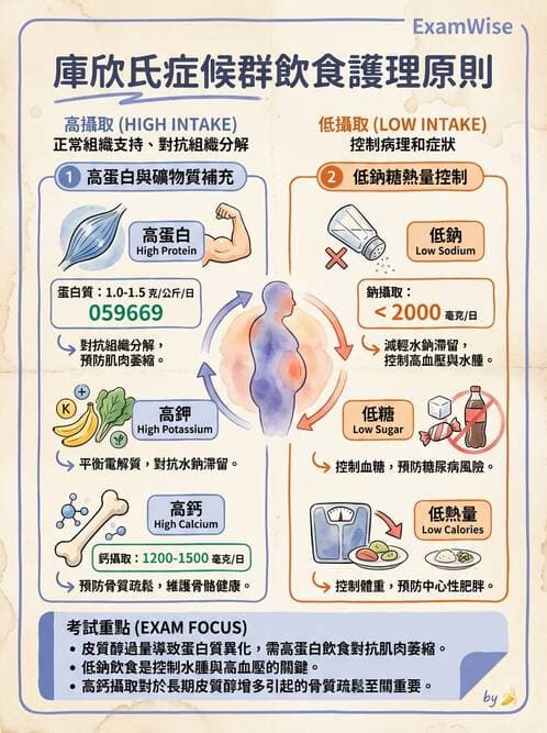 護理師 - 腎上腺與腦下垂體疾病 - AI 圖文解析預覽