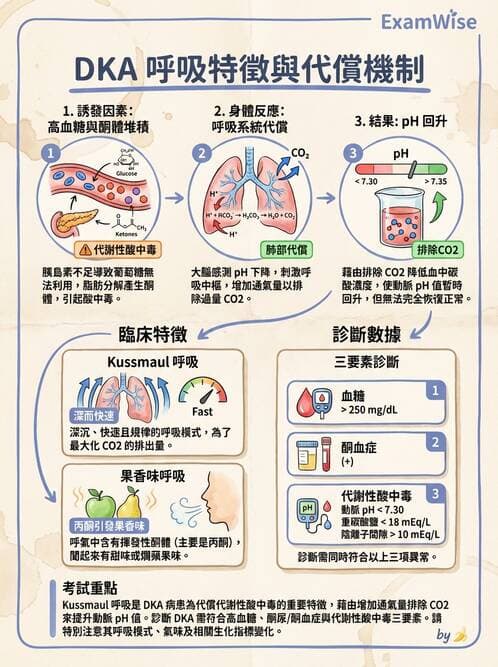 護理師 - 糖尿病併發症護理 - AI 圖文解析預覽